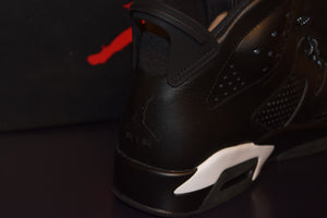 Air Jordan 6 Black Cat