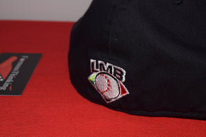 LMB New Era Sultanes De Monterrey Mexican Street Art Fitted 59Fifty