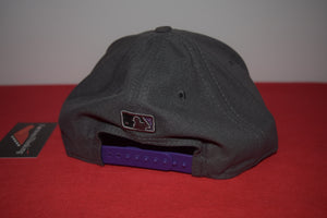 MLB New Era Cleveland Indians Chief Wahoo Purple Charcoal Snapback 9Fifty