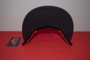 Hanna-Barbera X New Era Snagglepuss Snapback 9Fifty
