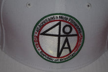 Load image into Gallery viewer, New Era Spike Lee 40 Acres and a Mule Fitted 59Fifty