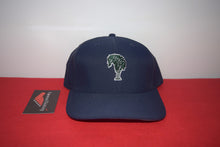 Load image into Gallery viewer, Old Elm Club Velcroback By American Needle