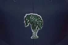 Load image into Gallery viewer, Old Elm Club Velcroback By American Needle